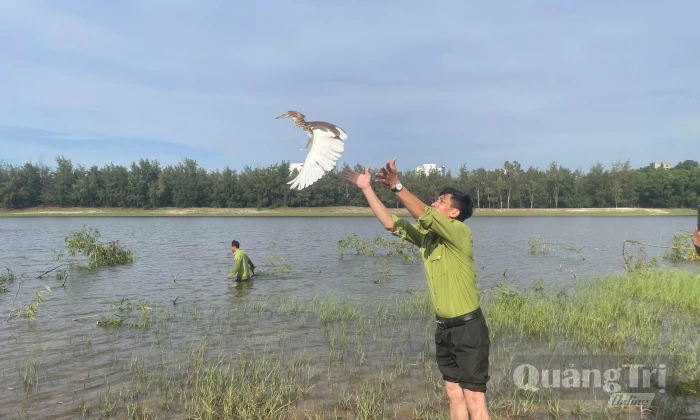 Ngăn chặn săn bắt chim hoang dã
