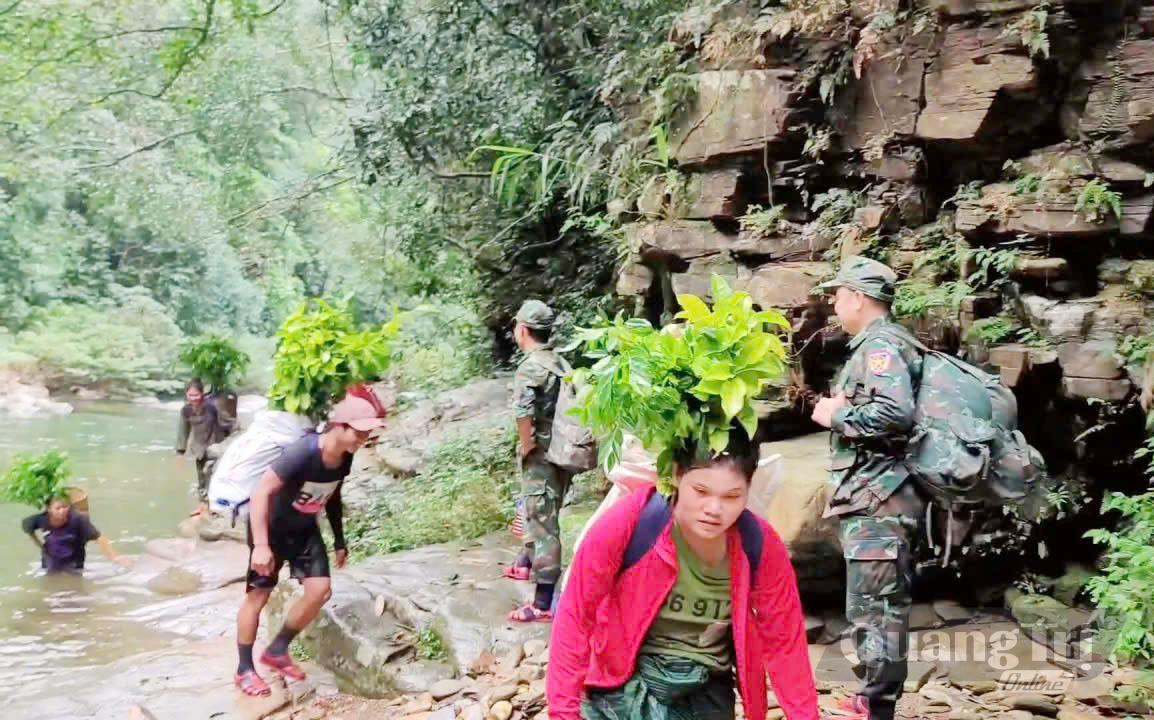 Lực lượng Ban quản lý rừng phòng hộ Sông Gianh cùng người dân vận chuyển cây bản địa vào rừng - Ảnh: T.A