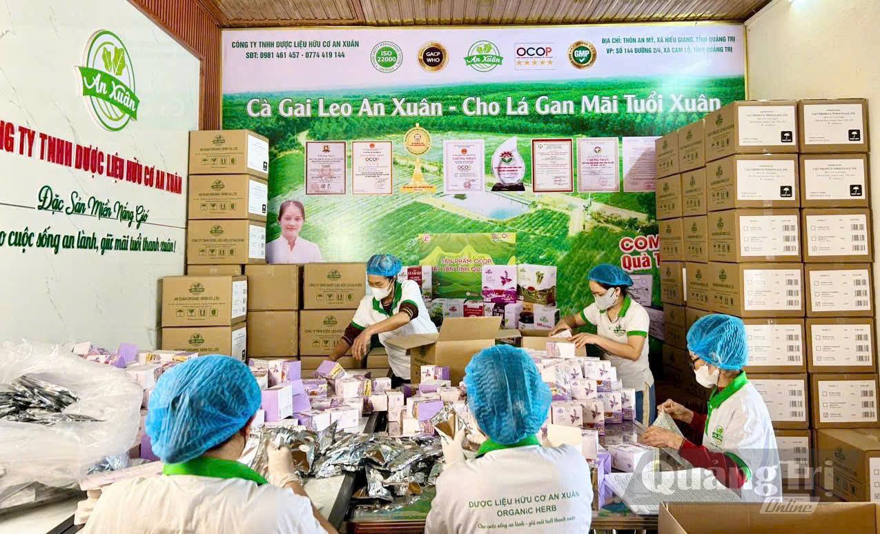 Công ty TNHH Dược liệu hữu cơ An Xuân chú trọng đầu tư sản xuất, nâng cao chất lượng sản phẩm - Ảnh: M.H