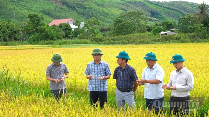 Tạo nền tảng phát triển