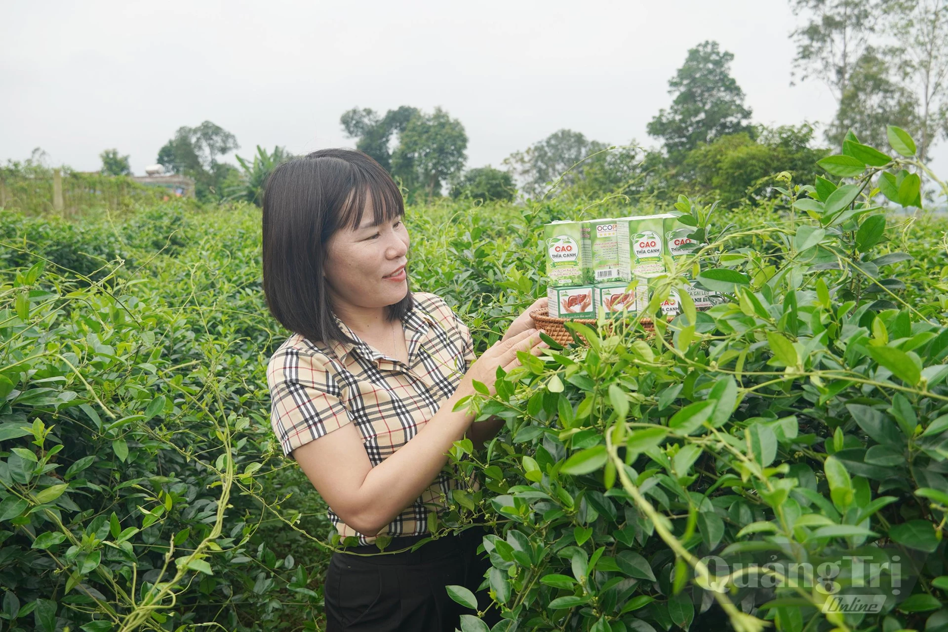 Chị Nguyễn Thị Giang, Chủ tịch Hội đồng quản trị kiêm Giám đốc Hợp tác xã sản xuất cây dược liệu sạch và kinh doanh nông nghiệp xã Cự Nẫm là điển hình trong học tập và làm theo Bác - Ảnh: L.M

Chị Nguyễn Thị Giang, Chủ tịch Hội đồng quản trị kiêm Giám đốc Hợp tác xã sản xuất cây dược liệu sạch và kinh doanh nông nghiệp xã Cự Nẫm là điển hình trong học tập và làm theo Bác-Ảnh: L.M


