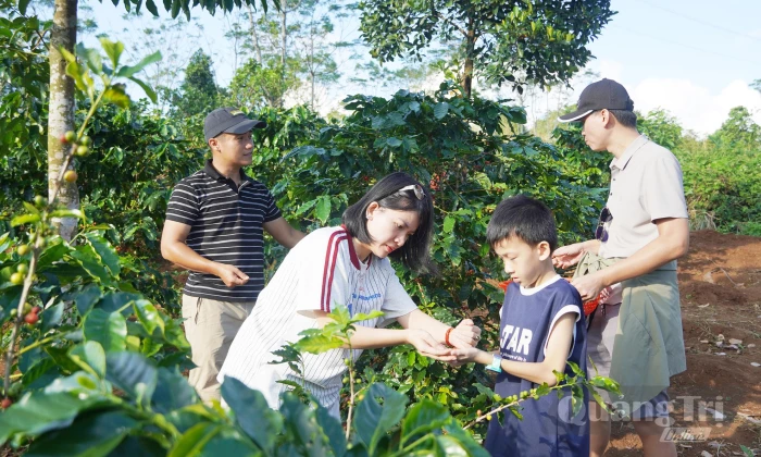Sức hút Khe Sanh