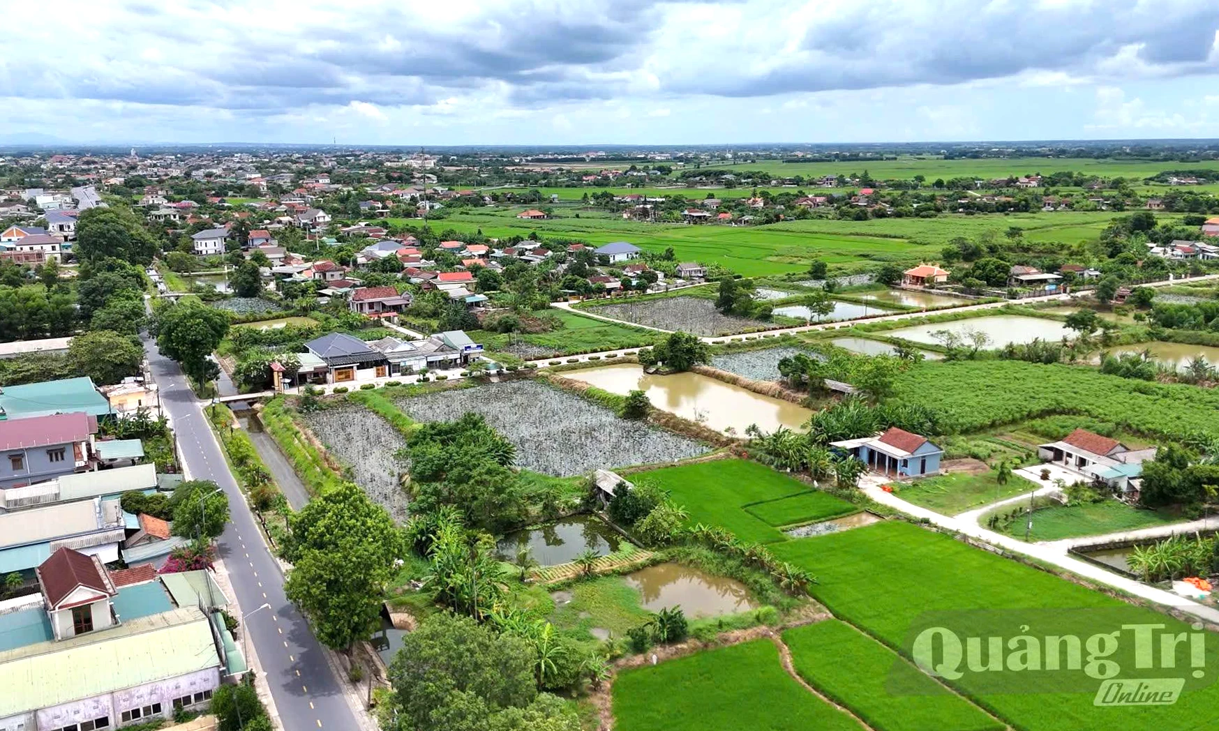 Giải quyết đơn thư từ cơ sở