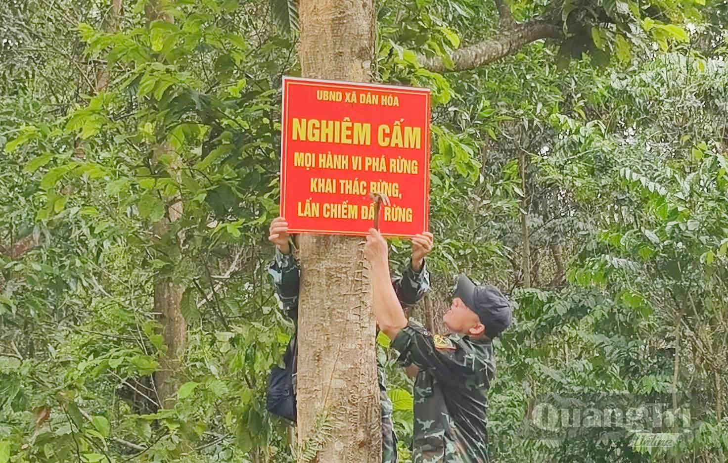Công tác bảo vệ rừng được Ban Quản lý rừng phòng hộ sông Gianh triển khai thường xuyên - Ảnh: X.V