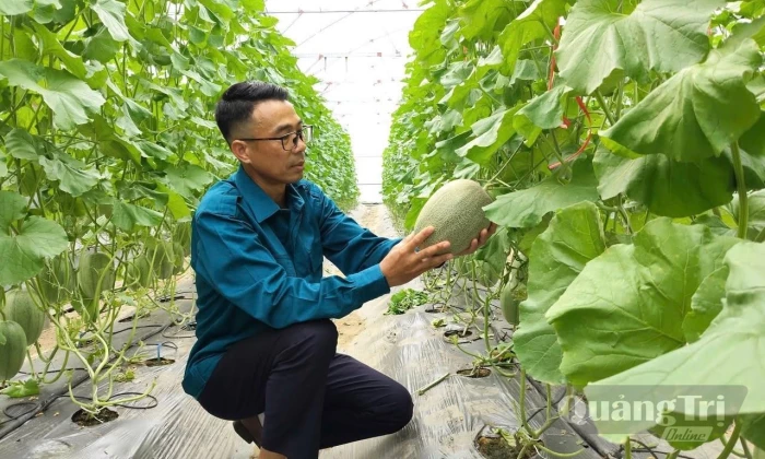 Đào tạo nông dân chuyên nghiệp