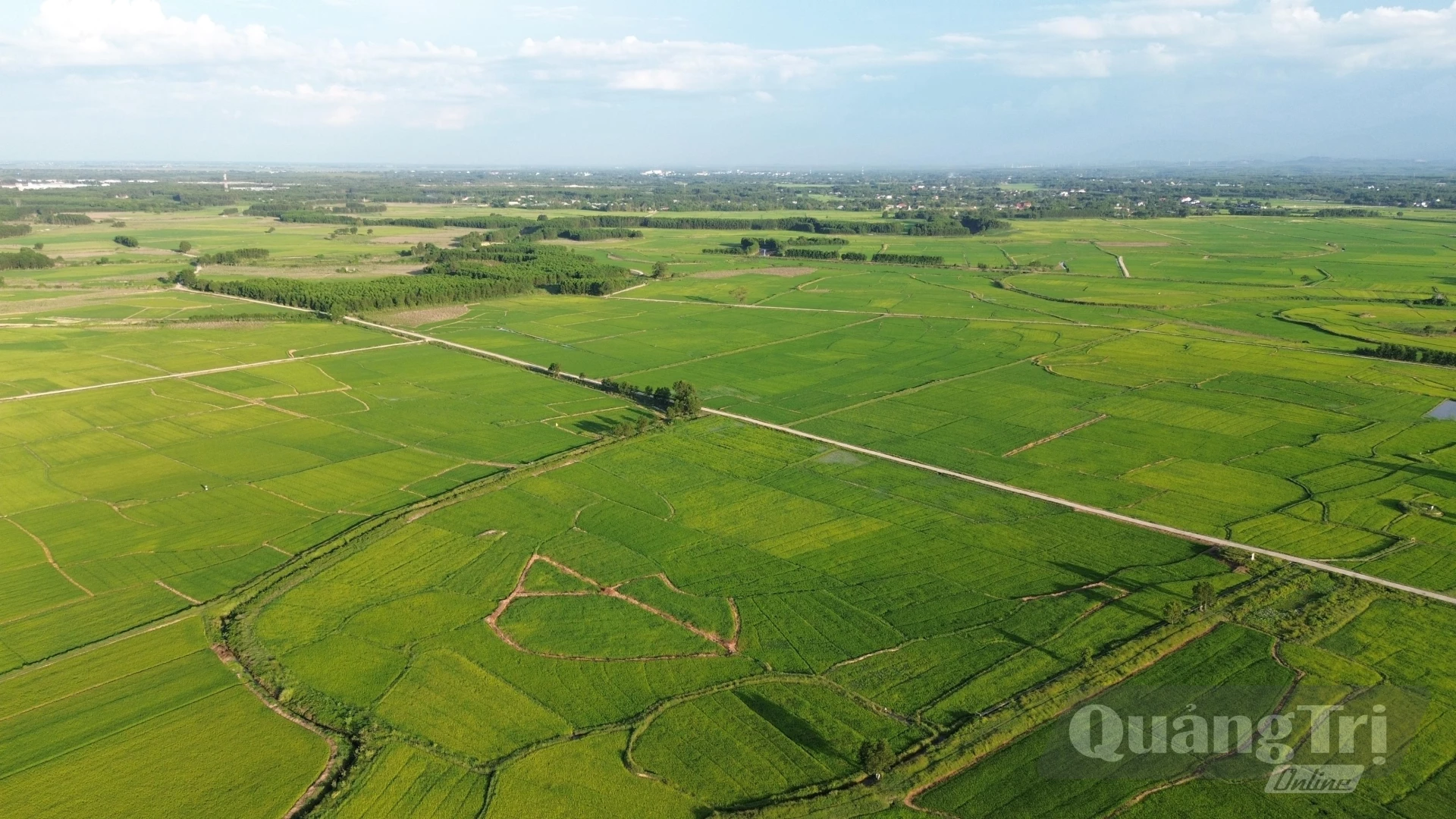 Quảng Trị định hướng phát triển nông nghiệp xanh gắn với khai thác hiệu quả lợi thế từng vùng, nâng cao giá trị sản xuất và thích ứng với biến đổi khí hậu - Ảnh: N.T.L