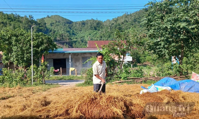 Bảo vệ vật nuôi trước mùa mưa