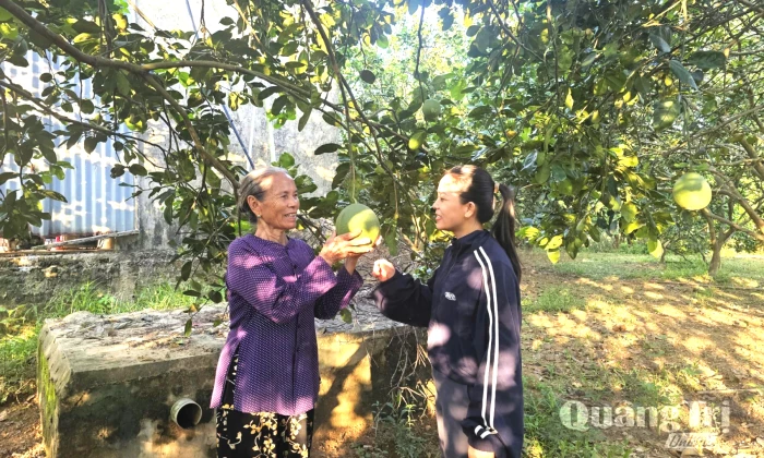 Đồng hành với nhà nông