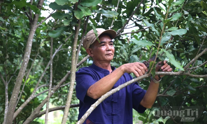 Thay đổi tư duy phát triển kinh tế vùng biên