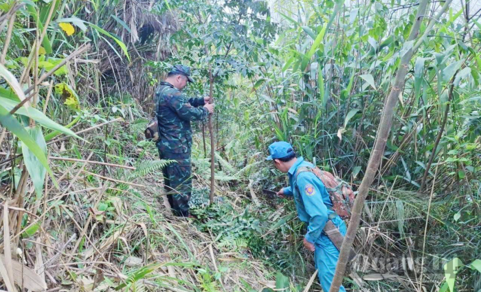 Trồng rừng bản địa trên dãy Trường Sơn