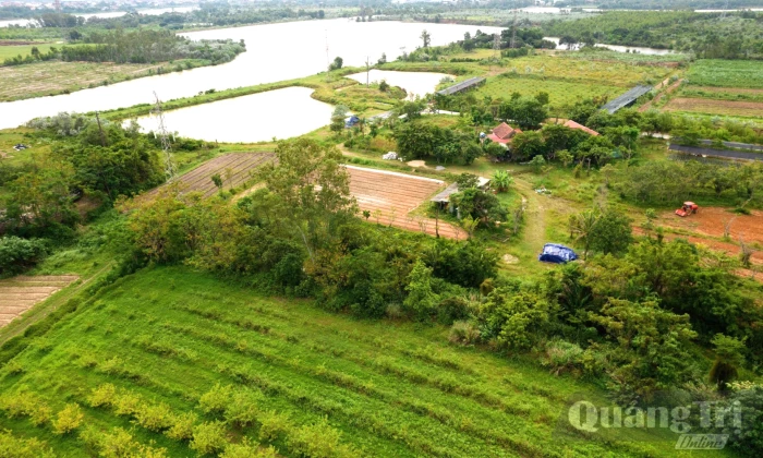 Những 'ông chủ' trên vùng đồi Ba Trang