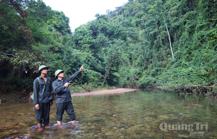 Để rừng bình yên