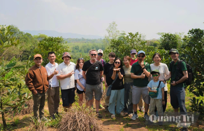 Hồi sinh cà phê Khe Sanh