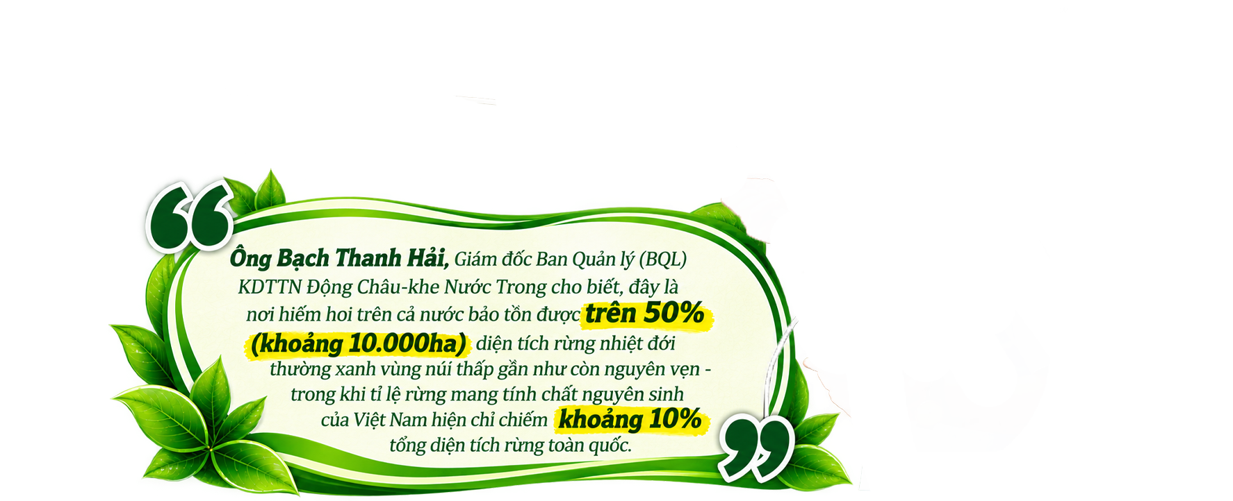 Khung trích dẫn về rừng tự nhiên