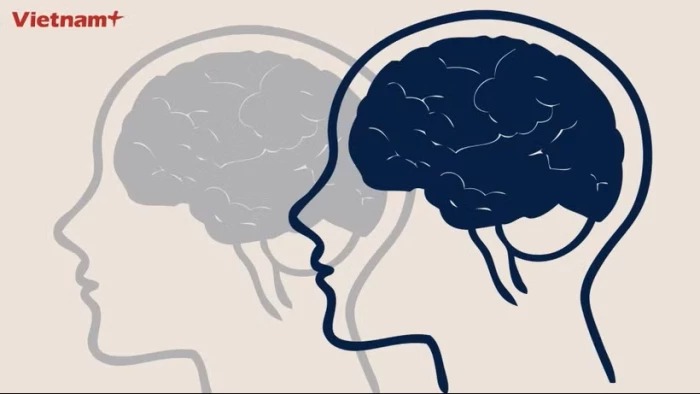 Quan niệm 'não trái logic, não phải sáng tạo' dưới góc nhìn khoa học