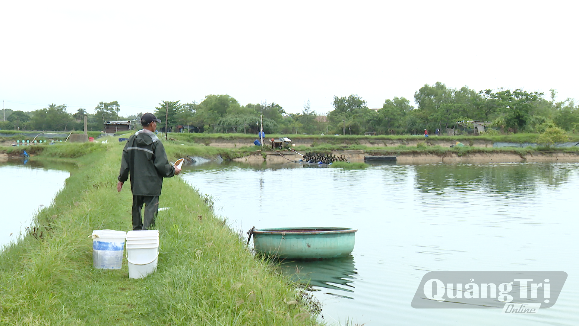 Mô hình nuôi cá nâu của anh Hoàng Văn Minh - Ảnh: N.D