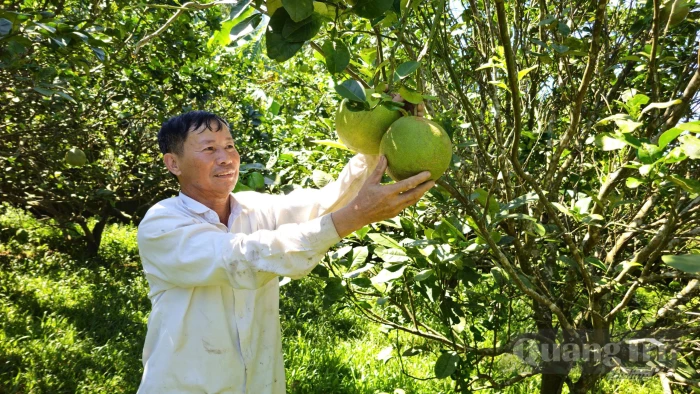 Nêu gương sáng trong phát triển kinh tế