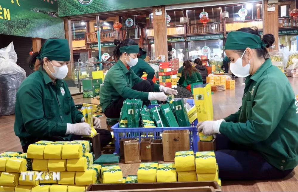 Chè Thái Nguyên hiện có 193 sản phẩm đạt OCOP từ 3-5 sao. (Ảnh: Trần Trang/TTXVN)
