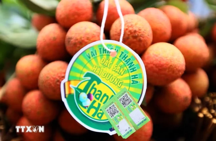 Chỉ dẫn địa lý và nhãn hiệu tập thể: Hộ chiếu cho nông sản Việt Nam