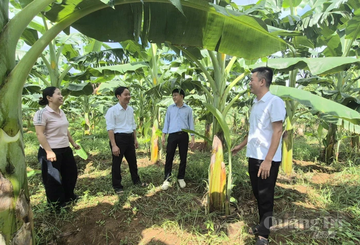 Nhạy bén phát triển cây trồng mới