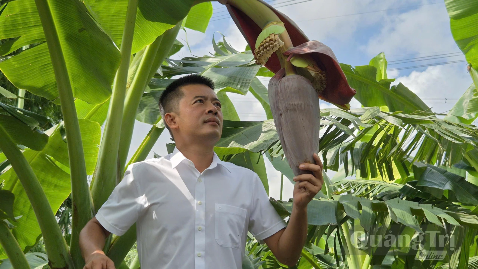 Anh Võ Quang Huy kiểm tra bắp chuối bàn tay Phật chuẩn ra bói tại vườn-Ảnh: K.S