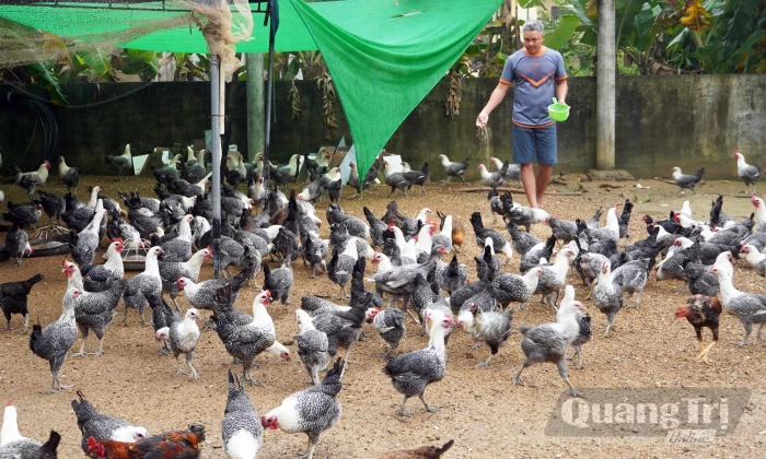 Xây dựng thương hiệu từ chăn nuôi