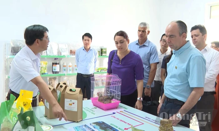 Chủ động hội nhập quốc tế, mở rộng không gian phát triển