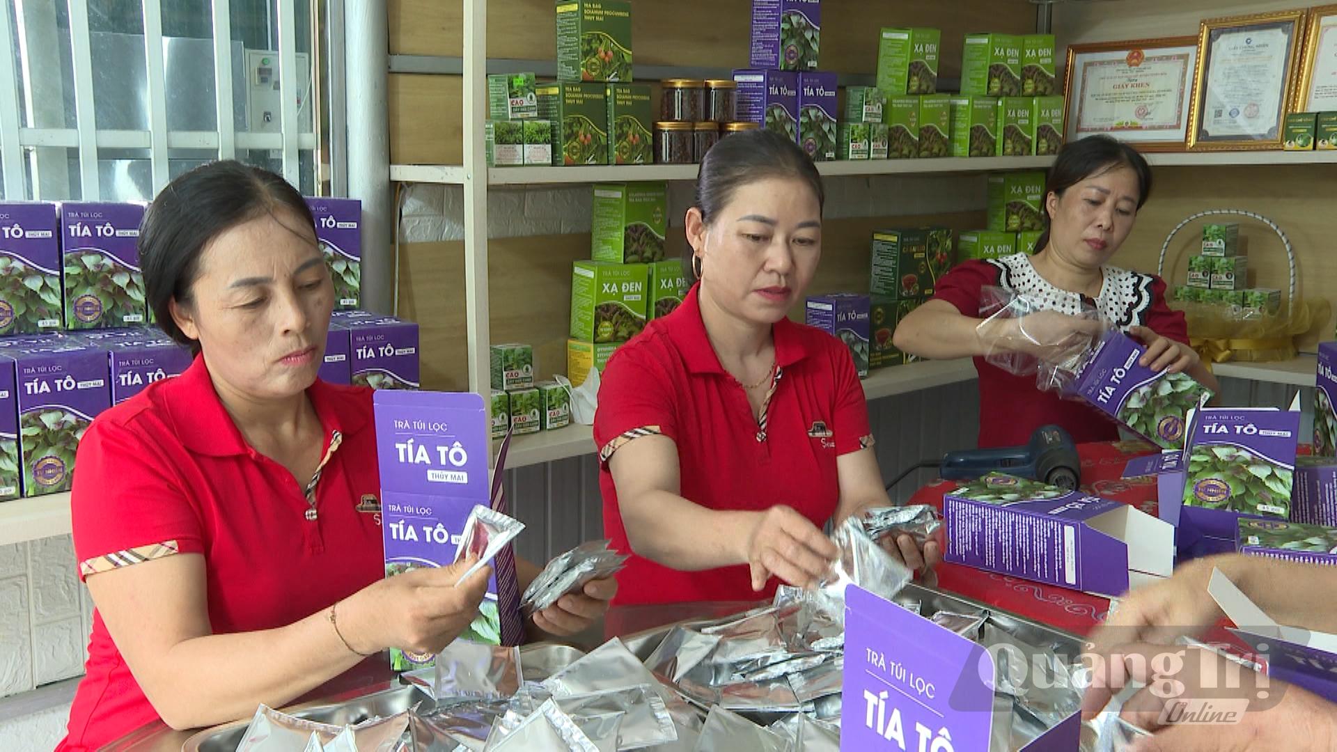 Các thành viên Hợp tác xã Dược liệu sạch Thủy Mai đóng gói sản phẩm - Ảnh: Ngọc Trang