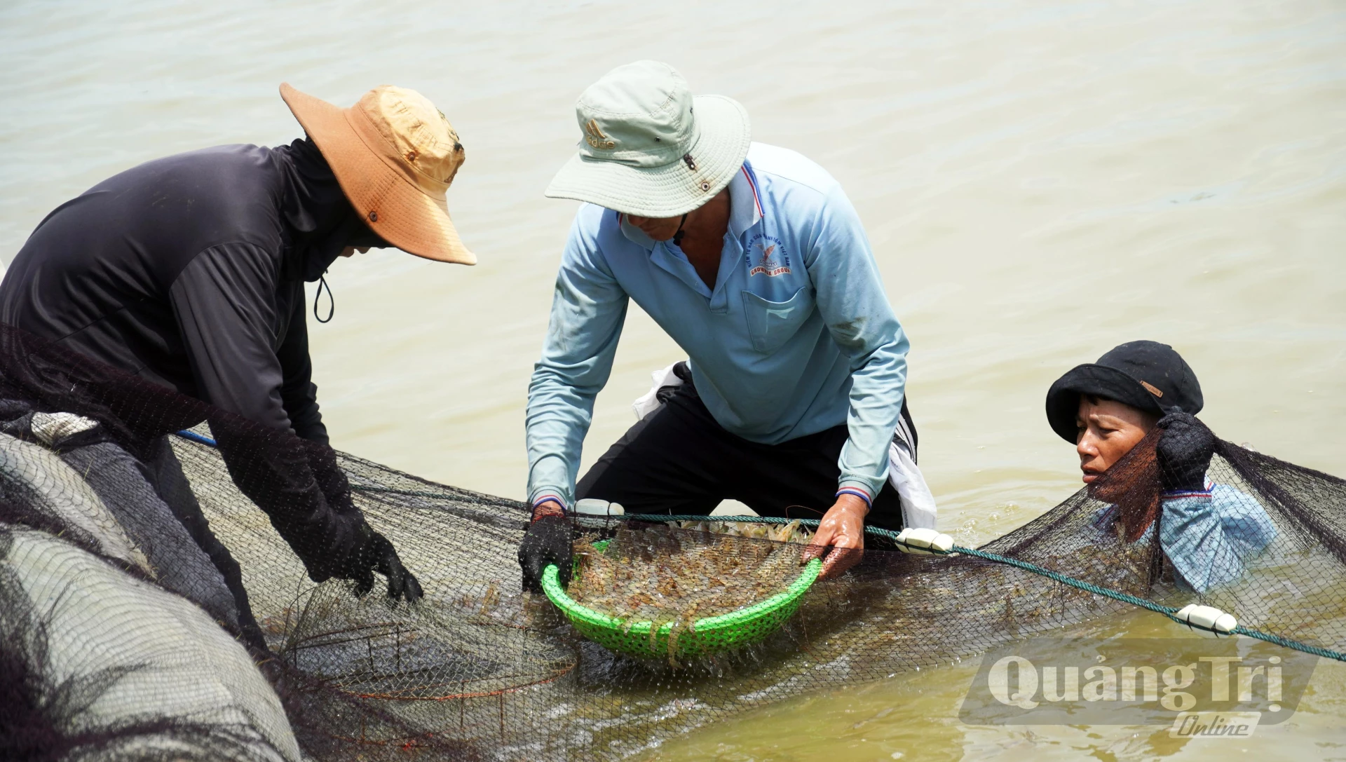 Chính quyền phường Bắc Gianh luôn đồng hành, tháo gỡ khó khăn để người dân phát triển nghề nuôi tôm - Ảnh: N.M