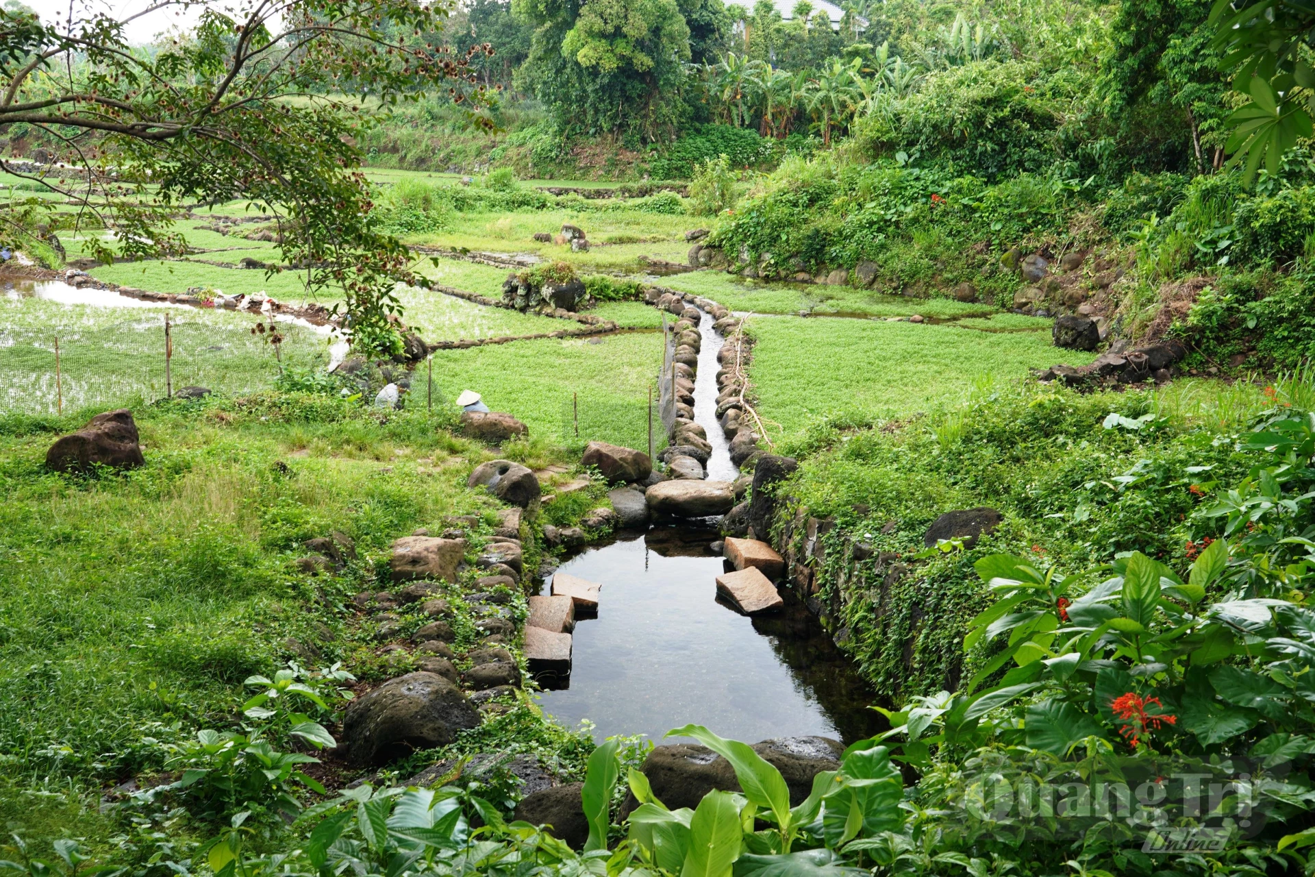 Một giếng cổ ở xã Cồn Tiên - Ảnh: Đ.V