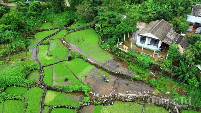 'Đặc sản' của miền đất bazan