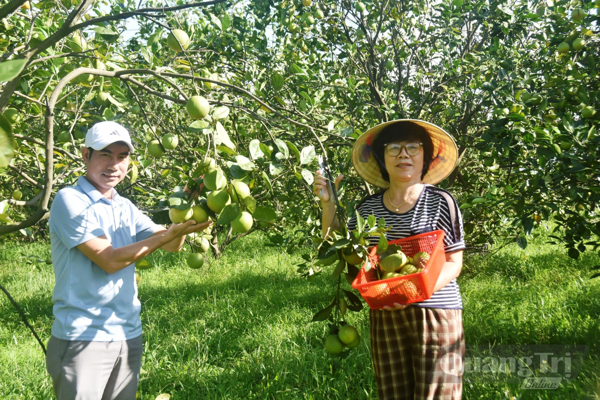 Bà Hương giới thiệu cho khách về vườn cam của gia đình - Ảnh: Đ.V