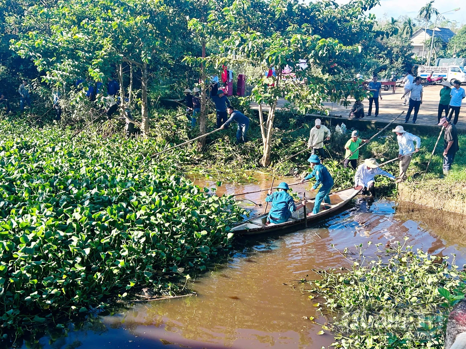 Bèo tây xâm lấn dày đặc trên sông Vĩnh Định đoạn qua thôn Đan Hội, xã Vĩnh Định - Ảnh: Đ.V