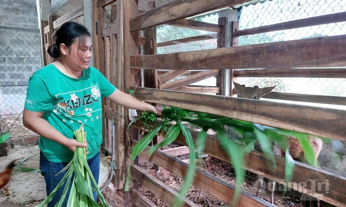 'Tiếp sức' cho nông dân