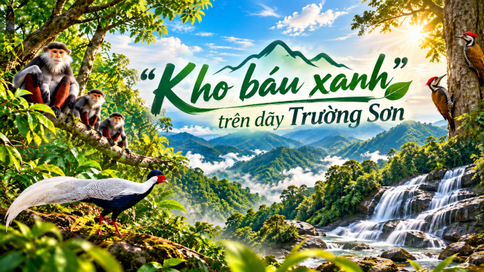 'Kho báu xanh' trên dãy Trường Sơn