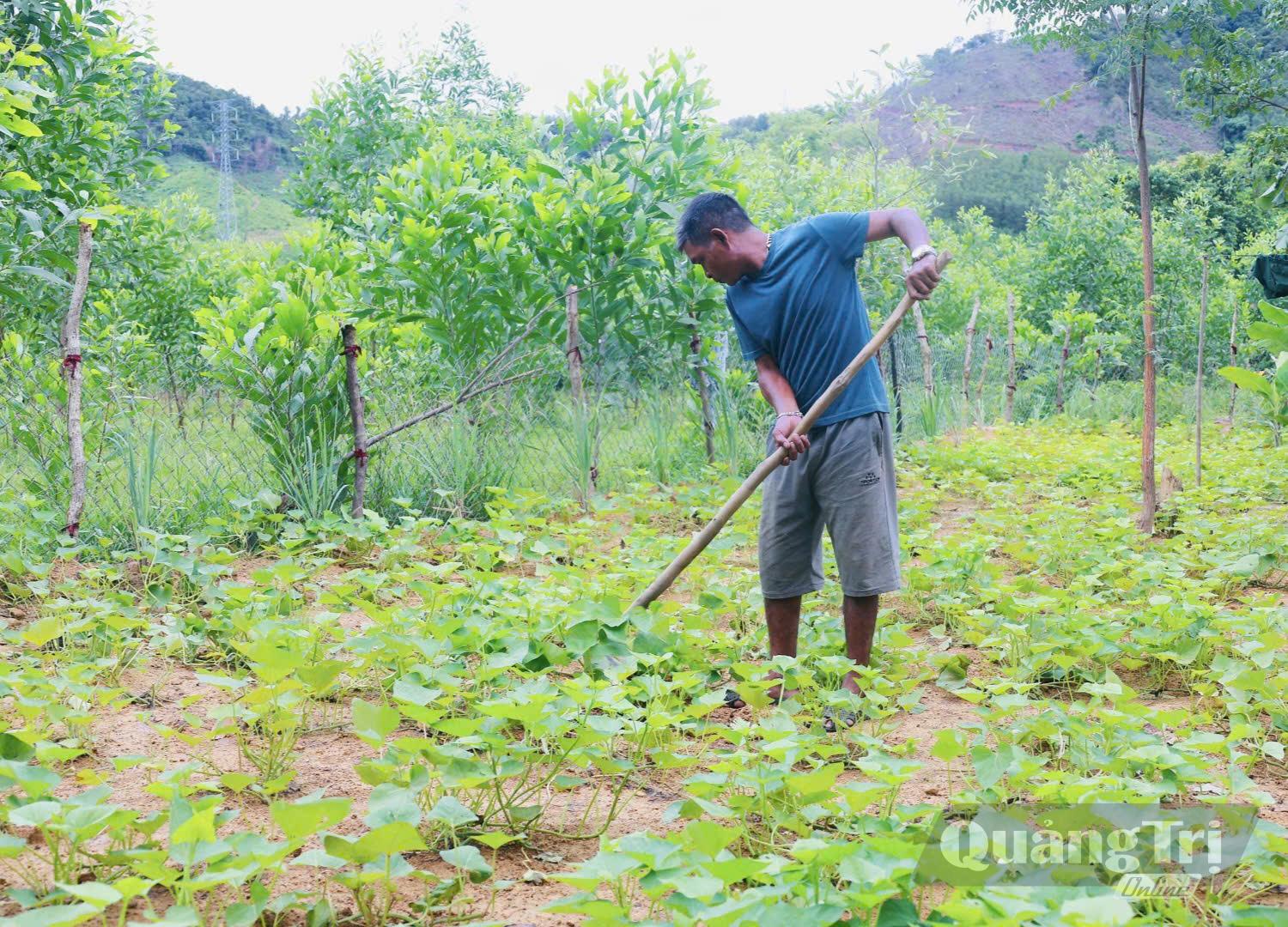Hồ Cum là tấm gương thực tế để Nhân dân trong thôn học tập, cùng vươn lên thoát nghèo-Ảnh: K.S
