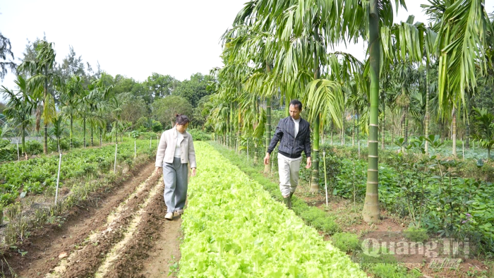 Sản xuất sạch hơn để tiêu dùng bền vững