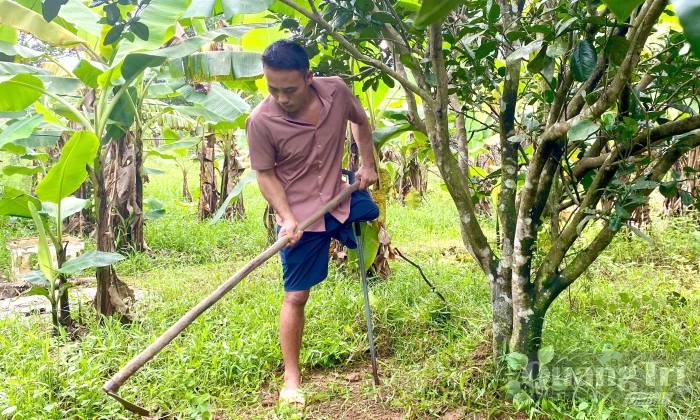 Không đầu hàng nghịch cảnh