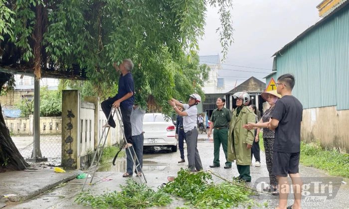 Vì xứ, họ đạo bình yên
