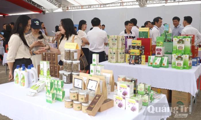 Hơn 3,5 tỉ đồng hỗ trợ phát triển công nghiệp nông thôn