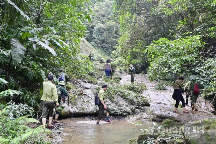 'Canh giữ' rừng trong mùa mưa lũ