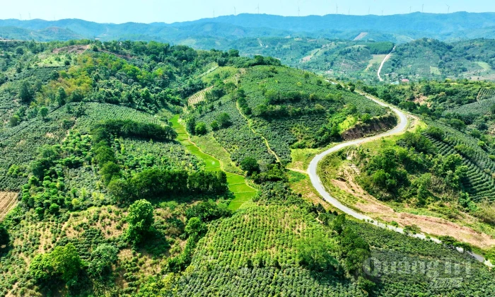Hương của đất, của cây và tình người