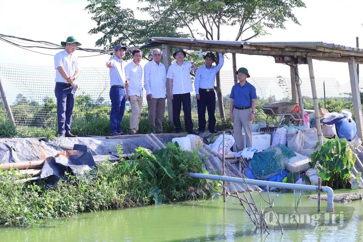 Lãnh đạo xã Nam Cửa Việt đến khảo sát các mô hình kinh tế triển vọng trên địa bàn xã.MH