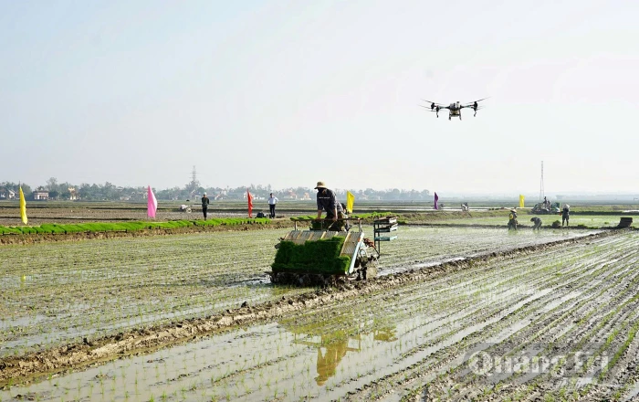 'Đòn bẩy' chuyển đổi xanh