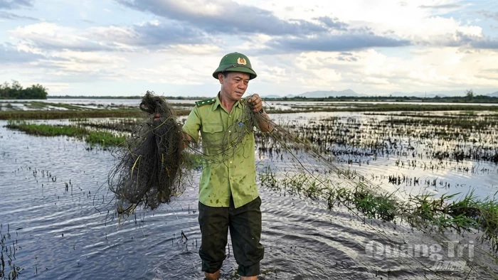 Cứu hộ 40 cá thể chim hoang dã, thu giữ hơn 2.500m lưới bẫy