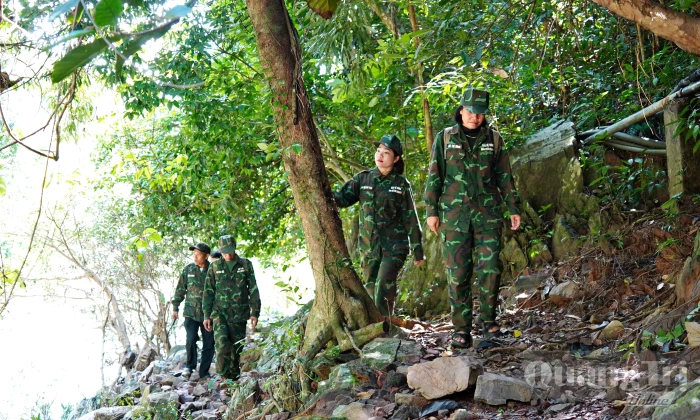 Thêm nguồn lực cho công tác bảo vệ rừng