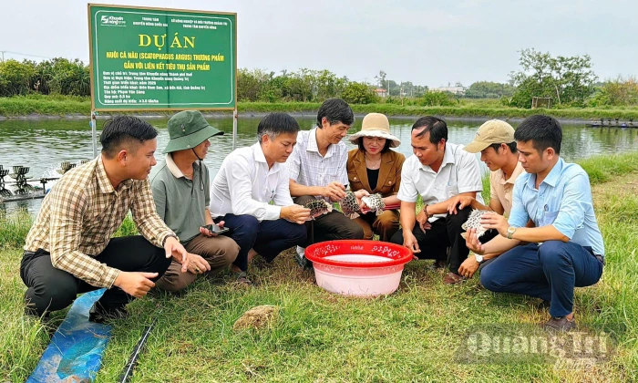 Thêm lựa chọn cho vùng nuôi tôm kém hiệu quả