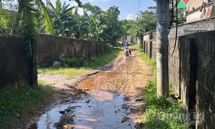 'Giám sát để thúc đẩy giải quyết'