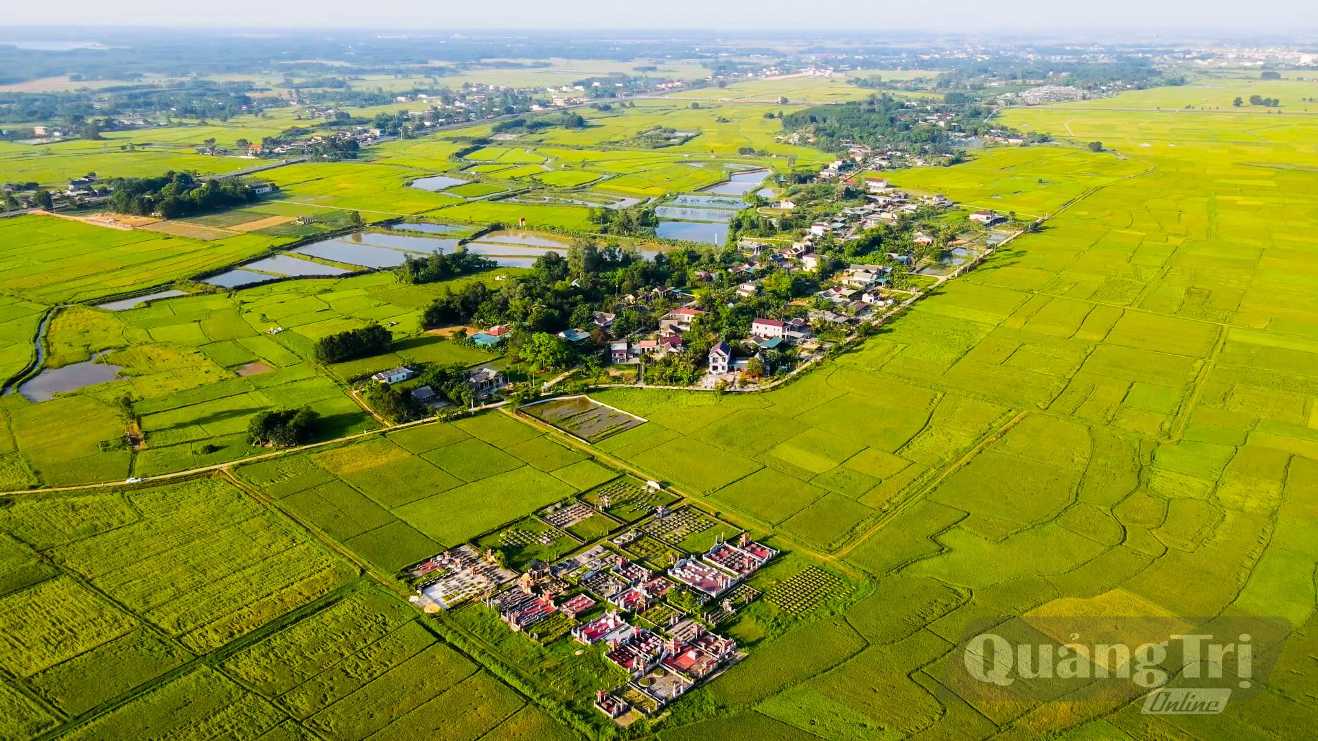 Xã Hiếu Giang nỗ lực triển khai những cánh đồng lớn - Ảnh: L.T