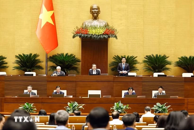 Phó Chủ tịch Quốc hội Nguyễn Hồng Diên phát biểu tại phiên họp. (Ảnh: Doãn Tấn/TTXVN)